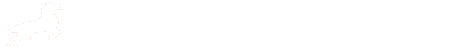 帮码国际